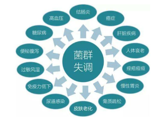 圖4 ?PaWB病相關的基因共表達網絡分析 圖4 ?PaWB病相關的基因共表達網絡分析