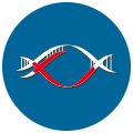 真核生物無參考基因組的轉(zhuǎn)錄組分析平臺(tái)