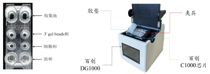 圖1：百創(chuàng)C1000芯片結(jié)構(gòu)（左圖）；百創(chuàng)DG1000微液滴生成儀（右圖）