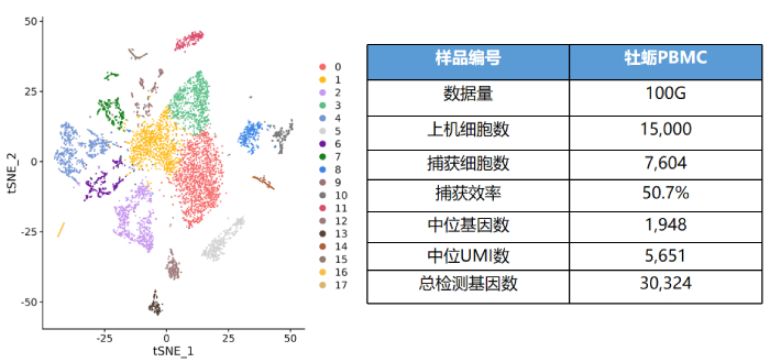 牡蠣PBMC